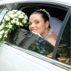Luxury Limousine Rental Services Memphis Superior Limousine Services